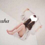 ヒメ日記 2025/02/07 08:01 投稿 彩羽-ayaha- 京都ホテヘル倶楽部