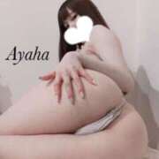 ヒメ日記 2025/04/23 15:00 投稿 彩羽-ayaha- 京都ホテヘル倶楽部