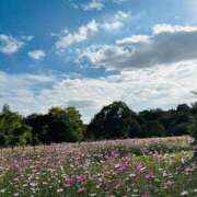 ヒメ日記 2026/02/13 17:38 投稿 あかり 京都ホテヘル倶楽部