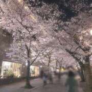 ヒメ日記 2026/04/06 01:59 投稿 あかり 京都ホテヘル倶楽部