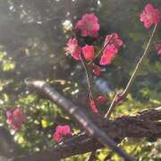 ヒメ日記 2025/03/01 12:40 投稿 たお DEEP BLACK