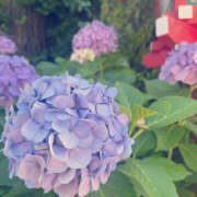 ヒメ日記 2025/06/27 00:03 投稿 たお DEEP BLACK