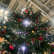 ヒメ日記 2025/12/01 06:27 投稿 たお DEEP BLACK