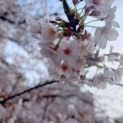 ヒメ日記 2026/03/30 17:15 投稿 たお DEEP BLACK