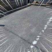 ヒメ日記 2025/06/22 12:08 投稿 マイ 高津角えび