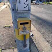 ヒメ日記 2025/07/20 17:58 投稿 マイ 高津角えび