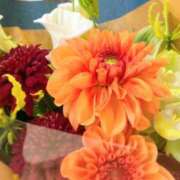 ヒメ日記 2024/12/27 20:13 投稿 クルミ 京都ホテヘル倶楽部