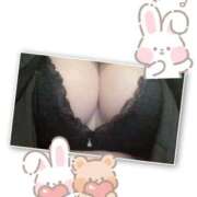 ヒメ日記 2025/08/10 10:00 投稿 ココ 京都ホテヘル倶楽部