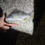 ヒメ日記 2025/11/06 17:56 投稿 ミリア 京都ホテヘル倶楽部