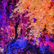 ヒメ日記 2025/02/26 15:17 投稿 えりな 京都ホテヘル倶楽部