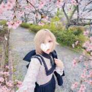 ヒメ日記 2026/04/01 11:15 投稿 えりな 京都ホテヘル倶楽部