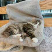 ヒメ日記 2025/01/27 00:27 投稿 ゆり 京都ホテヘル倶楽部