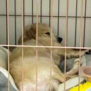 ヒメ日記 2025/03/04 13:53 投稿 みこ チュッパリップス横浜in綱島