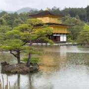 ヒメ日記 2025/05/01 19:56 投稿 みこ チュッパリップス横浜in綱島