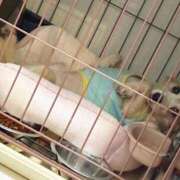 ヒメ日記 2025/08/12 03:28 投稿 みこ チュッパリップス横浜in綱島