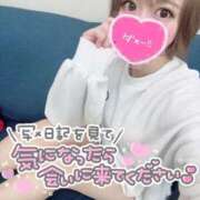 ヒメ日記 2026/02/06 23:33 投稿 みこ チュッパリップス横浜in綱島