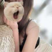 ヒメ日記 2025/07/16 19:01 投稿 ジュリア 京都ホテヘル倶楽部