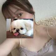 ヒメ日記 2025/11/01 20:01 投稿 ジュリア 京都ホテヘル倶楽部