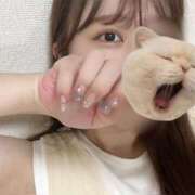 ヒメ日記 2025/11/28 22:10 投稿 ジュリア 京都ホテヘル倶楽部