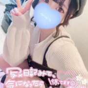 ヒメ日記 2025/03/08 00:07 投稿 みこ チュッパリップス川崎in武蔵小杉