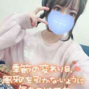 ヒメ日記 2025/05/30 04:45 投稿 みこ チュッパリップス川崎in武蔵小杉