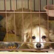 ヒメ日記 2025/11/11 23:11 投稿 みこ チュッパリップス川崎in武蔵小杉