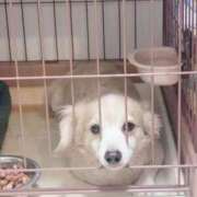 ヒメ日記 2026/04/15 19:02 投稿 みこ チュッパリップス川崎in武蔵小杉