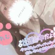 ヒメ日記 2025/07/20 20:35 投稿 れむ 京都ホテヘル倶楽部