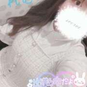 ヒメ日記 2025/11/02 16:35 投稿 れむ 京都ホテヘル倶楽部