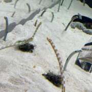 ヒメ日記 2025/02/22 13:02 投稿 コウ 京都ホテヘル倶楽部