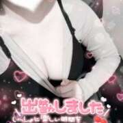 ヒメ日記 2025/03/24 15:57 投稿 コウ 京都ホテヘル倶楽部