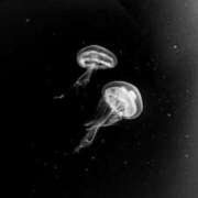 ヒメ日記 2025/05/13 14:05 投稿 コウ 京都ホテヘル倶楽部