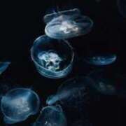 ヒメ日記 2025/07/25 23:45 投稿 コウ 京都ホテヘル倶楽部