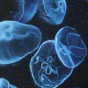 ヒメ日記 2025/08/19 19:35 投稿 コウ 京都ホテヘル倶楽部