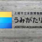 ヒメ日記 2025/05/09 10:22 投稿 あろま 京都ホテヘル倶楽部
