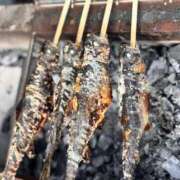 ヒメ日記 2025/10/05 17:30 投稿 あろま 京都ホテヘル倶楽部