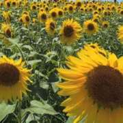 ヒメ日記 2025/07/28 10:02 投稿 すずか 京都ホテヘル倶楽部