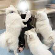 みなみ オハンヨ ふわメロ