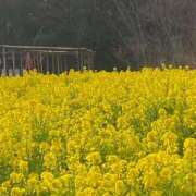 ヒメ日記 2025/04/04 12:48 投稿 しおり 京都ホテヘル倶楽部