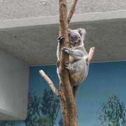 ヒメ日記 2025/06/09 12:24 投稿 しおり 京都ホテヘル倶楽部