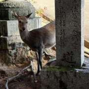 ヒメ日記 2025/11/23 14:02 投稿 しおり 京都ホテヘル倶楽部