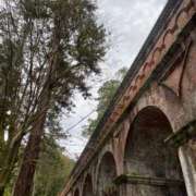 ヒメ日記 2026/04/15 12:16 投稿 しおり 京都ホテヘル倶楽部