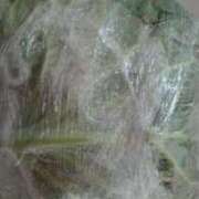 ヒメ日記 2025/02/24 21:36 投稿 いおり 京都ホテヘル倶楽部