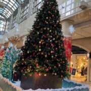 ヒメ日記 2024/12/12 12:45 投稿 クミ 京都ホテヘル倶楽部