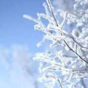 ヒメ日記 2025/02/08 13:20 投稿 クミ 京都ホテヘル倶楽部