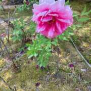 ヒメ日記 2025/05/09 13:01 投稿 クミ 京都ホテヘル倶楽部