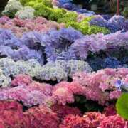 ヒメ日記 2025/06/07 20:25 投稿 クミ 京都ホテヘル倶楽部