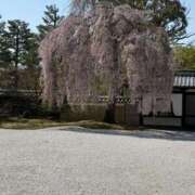 ヒメ日記 2026/04/05 10:01 投稿 クミ 京都ホテヘル倶楽部