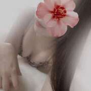 ミナト 明日＆来週🗓️💗 京都ホテヘル倶楽部