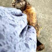 ヒメ日記 2025/05/30 14:36 投稿 いく 那須塩原人妻花壇